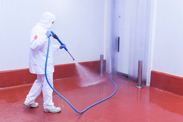 Best Sidewalk and Walkway Cleaning  in Edcouch, TX